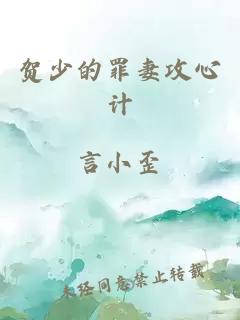 贺少的罪妻攻心计
